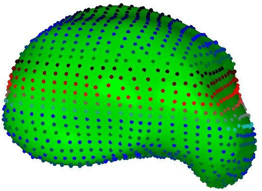 Surface mesh of the thalamus of a subject