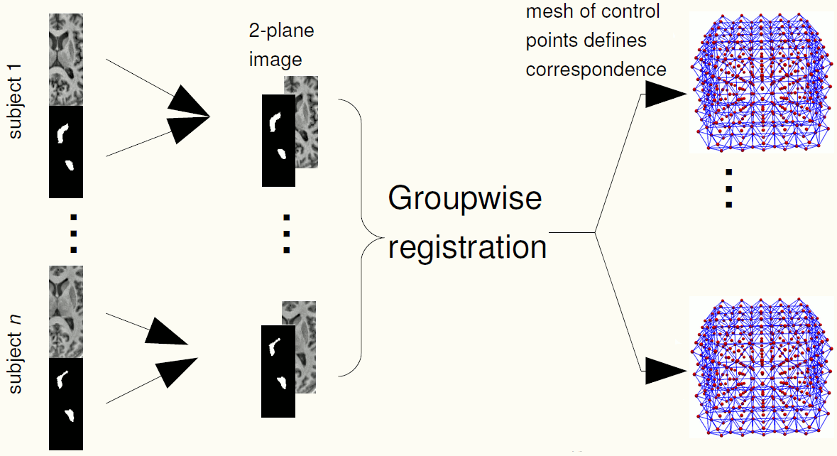 Schematic of groupwise registration process