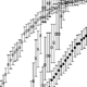 Enzyme/non-Enzyme 2005