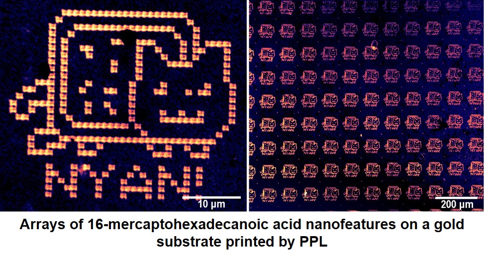 AFM Images of arrays of 16-mercaptohexadecanoic acid nanofeatures on a gold substrate printed by PPL