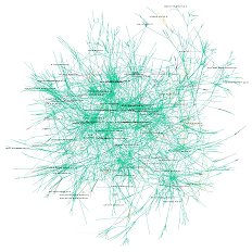Stephen Coast's Internet graph - click for larger version