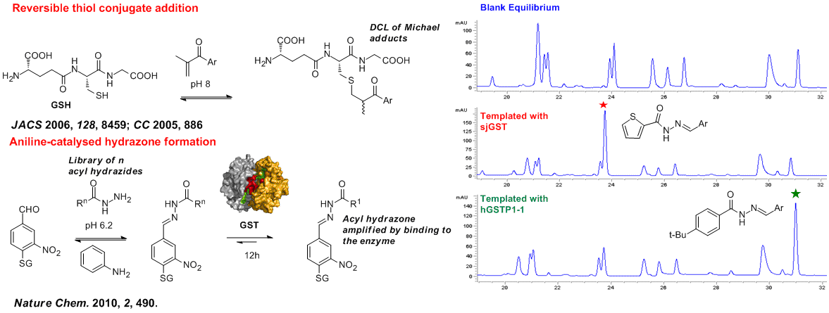 Halo Group Chemistry