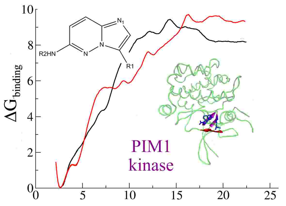 PIM kinase inhibitors