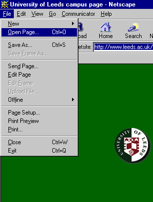 Screen shot: opening your page