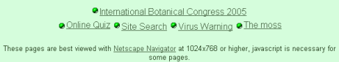 Screen shot of optimisation message (These pages are best viewed with Netscape Navigator at 1024x768)
