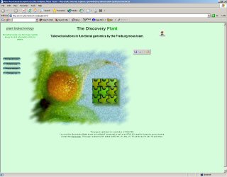 Web page viewed at 1024 x 768