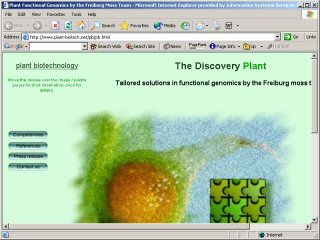 Web page viewed at 800 x 600
