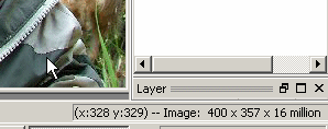 Screen shot: Image status bar in PSP8
