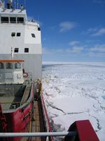 Working sea ice