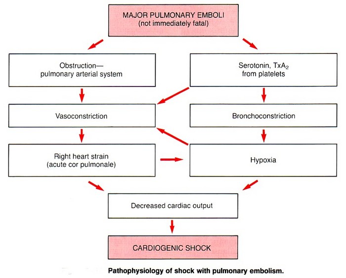 Tissue Interactions and Biocompatibility