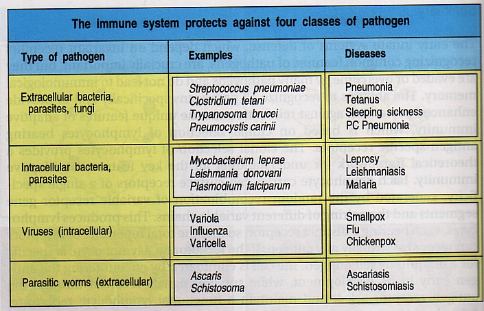 Tissue Interactions And Biocompatibility