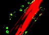 osteoblast on bioglass fibre