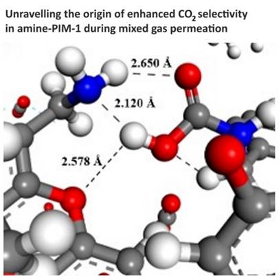 A molecule model with red blue and white balls

AI-generated content may be incorrect.