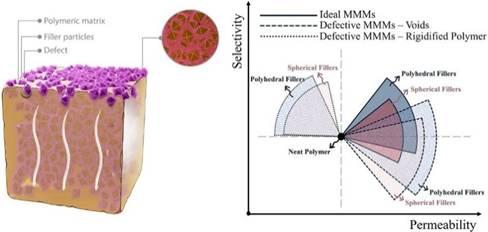 A diagram of a flower

AI-generated content may be incorrect.
