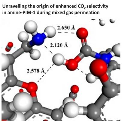 A molecule model with red blue and white balls

AI-generated content may be incorrect.