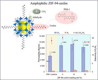 A diagram of an amphilic molecule

AI-generated content may be incorrect.
