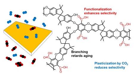 A close-up of several different types of chemistry

Description automatically generated