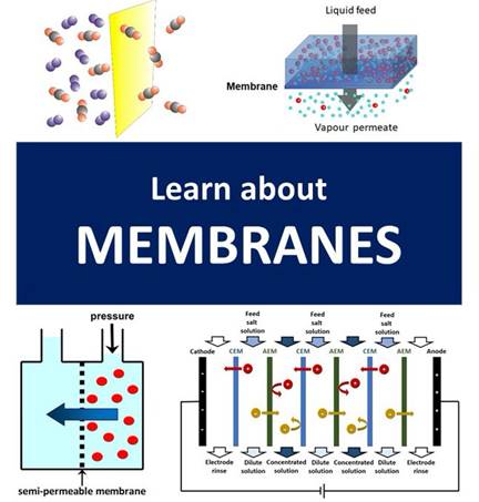 A diagram of membrane and diagram of membrane

Description automatically generated