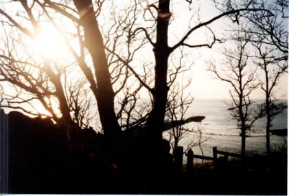 Image of Silverdale, Morecambe Bay, Xmas Eve 2000