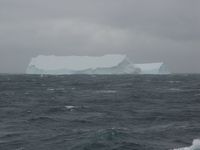 Ice Berg