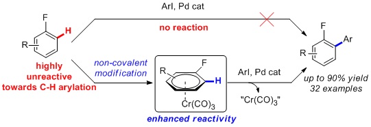 Cover image for Arene-metal π-complexation as a traceless reactivity enhancer for C-H arylation