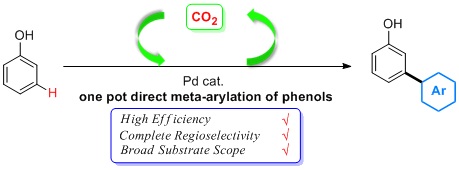 Cover image for Overriding ortho-para selectivity via a traceless directing group relay strategy: The meta-selective arylation of phenols