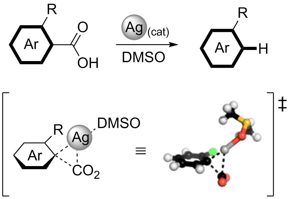 Cover image for The ortho-substituent effect on the Ag-Catalysed decarboxylation of benzoic acids