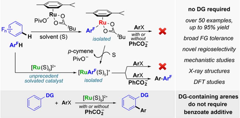 Cover image for Ru-Catalyzed C-H Arylation of Fluoroarenes with Aryl Halides
