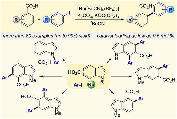 Cover image for Ruthenium‐Catalyzed C−H Arylation of Benzoic Acids and Indole Carboxylic Acids with Aryl Halides