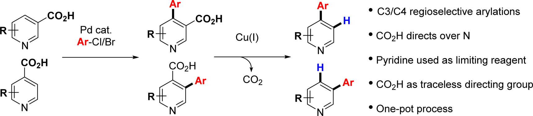 Cover image for Direct ortho-Arylation of Pyridinecarboxylic Acids: Overcoming the Deactivating Effect of sp<sup>2</sup>-Nitrogen