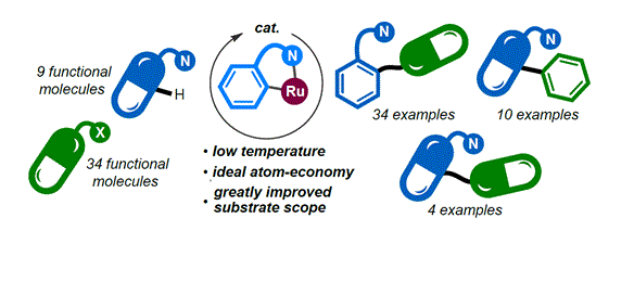 Cover image for Cyclometallated ruthenium catalyst enables late-stage directed arylation of pharmaceuticals
