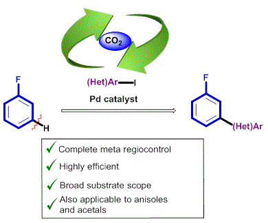 Cover image for meta-C–H arylation of fluoroarenes via traceless directing group relay strategy