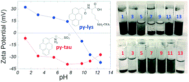 Cover image for Charge-tunable graphene dispersions in water made with amphoteric pyrene derivatives