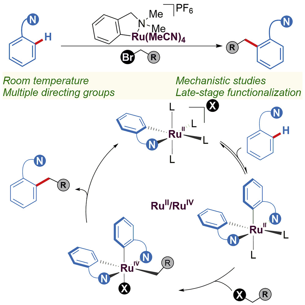 Cover image for Ru-catalyzed room-temperature alkylation and late-stage alkylation of arenes with primary alkyl bromides
