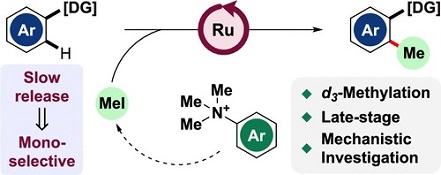 Cover image for Ruthenium-Catalyzed Monoselective C–H Methylation and d3-Methylation of Arenes