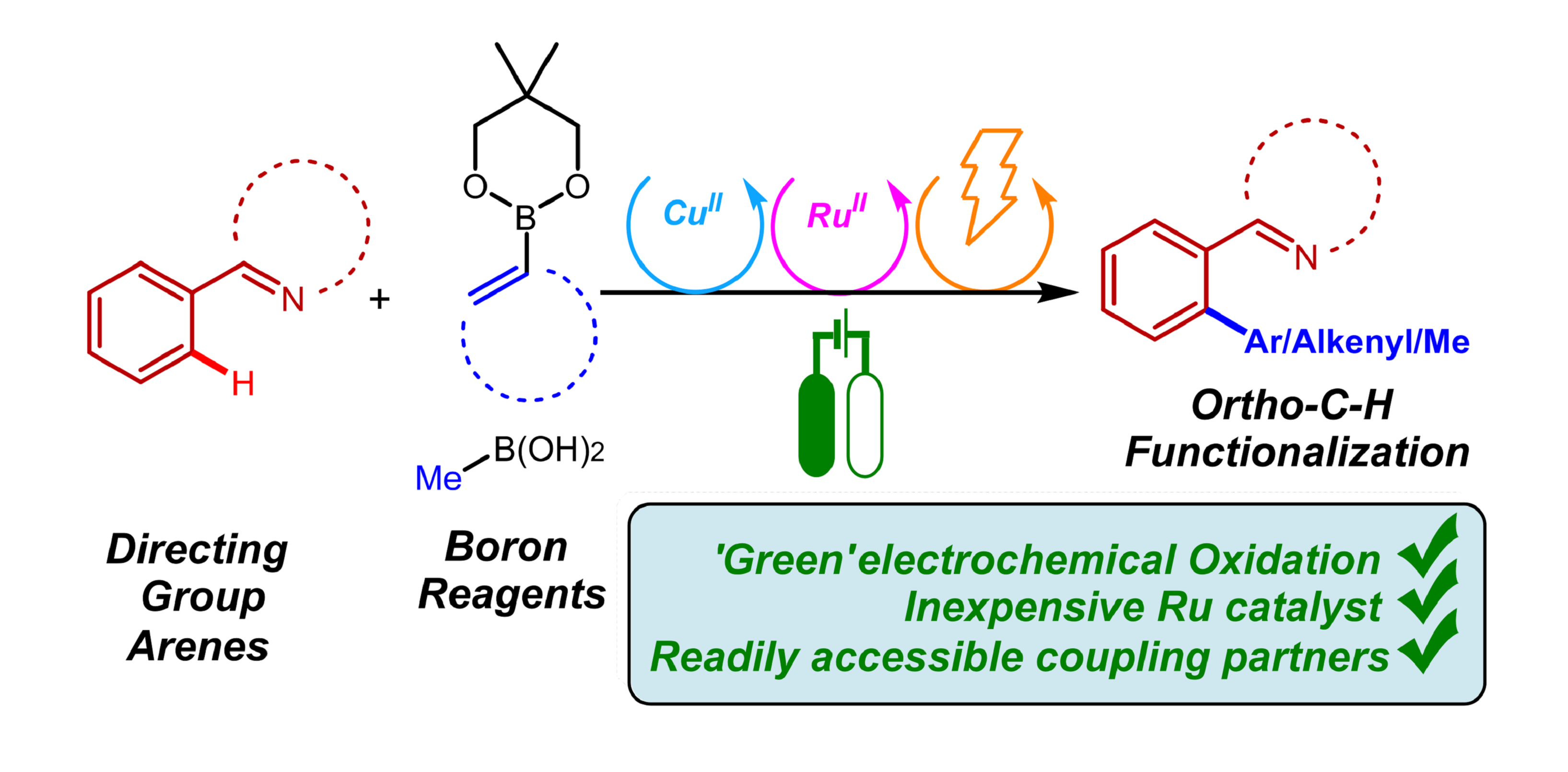 Cover image for Electrochemical Ruthenium‐Catalysed Directed C−H Functionalization of Arenes with Boron Reagents