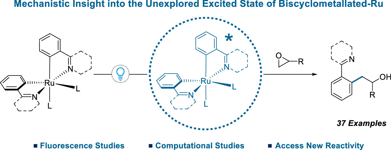 Cover image for Bis-Cycloruthenated Complexes in Visible Light-Induced C–H Alkylation with Epoxides