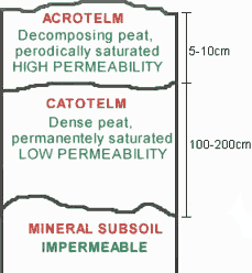 The depth of Acrotelm and Catotelm layers