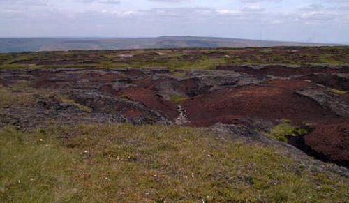 Areas of burnt peat at Bleaklow Head