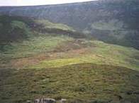 Thumbnail image of various vegetation habitats at Clough Edge