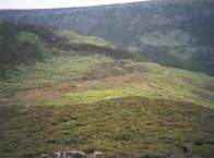 Link to vegetation at Clough Edge