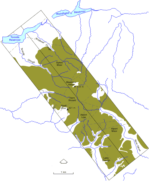 Map showing solid geology of the transect