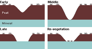 The four stages of gully erosion