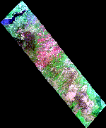 A HyMap image-Links to an itroduction of the HyMap image