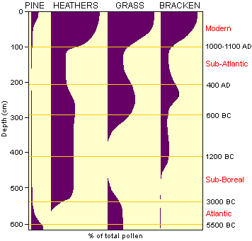 Generalised pollen diagram for Pine, Heather, Grass and Bracken