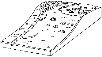 Radley's peat erosion diagram