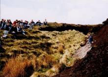 Link to description of peat and vegetation on Alport Moor