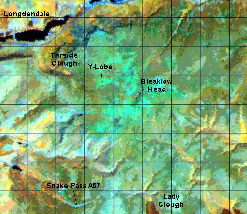 Landsat Thematic Mapper satellite image