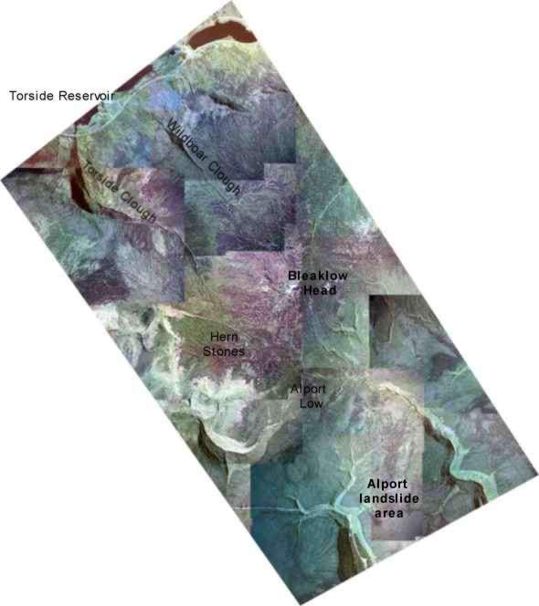Mosaic'ed  aerial photographs showing the transect study area