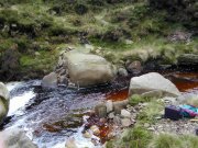 A peaty stream